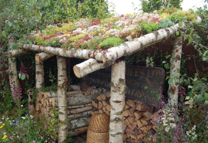 green roof